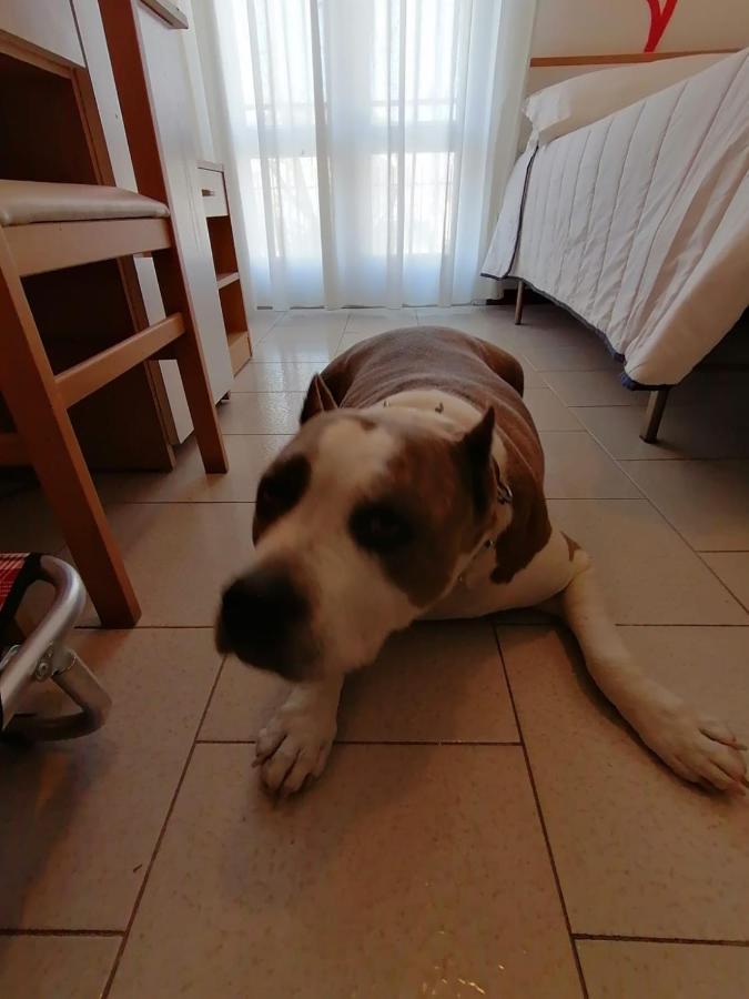 Kristalex Pet Family Hotel Cesenatico Esterno foto