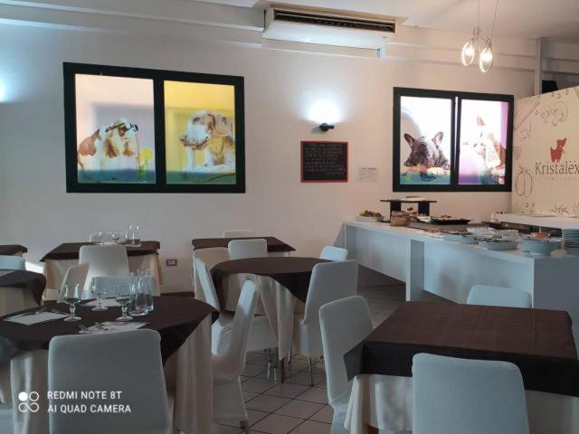 Kristalex Pet Family Hotel Cesenatico Esterno foto